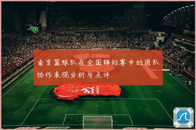 南京篮球队在全国锦标赛中的团队协作表现分析与点评