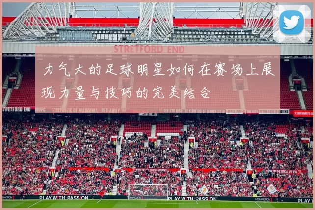 力气大的足球明星如何在赛场上展现力量与技巧的完美结合