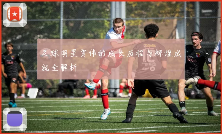 足球明星贾伟的成长历程与辉煌成就全解析