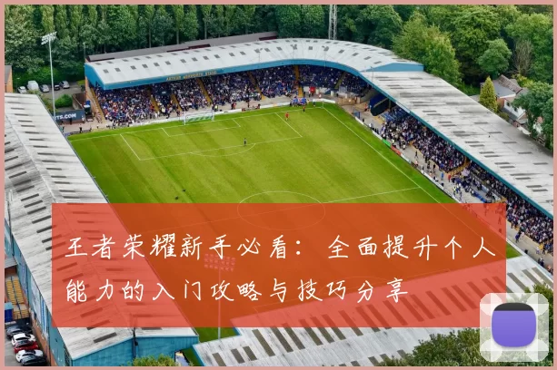 王者荣耀新手必看：全面提升个人能力的入门攻略与技巧分享
