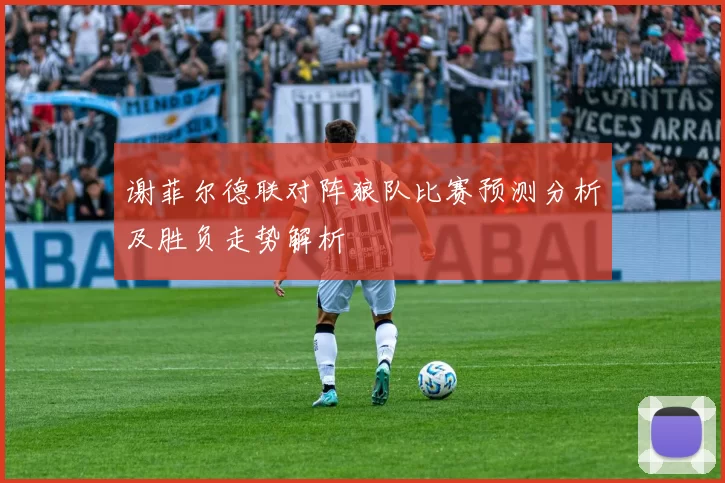 谢菲尔德联对阵狼队比赛预测分析及胜负走势解析