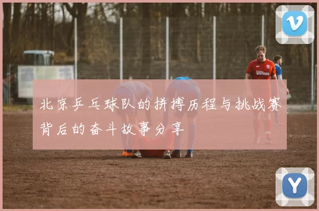 北京乒乓球队的拼搏历程与挑战赛背后的奋斗故事分享